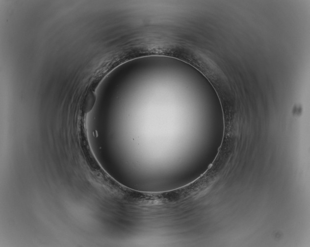 X0000090920646200707301534