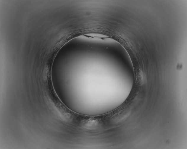 X0000090920647200707301534