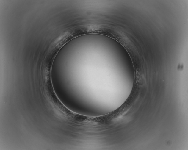 X0000090920648200707301534