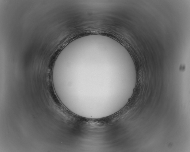 X0000090920650200707301534