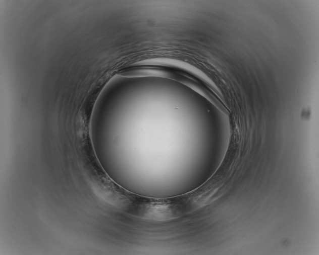 X0000090920651200707301534