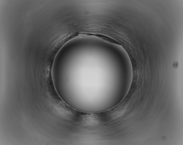X0000090920652200707301534