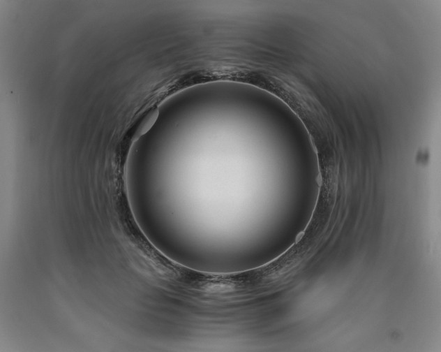 X0000090920653200707301534