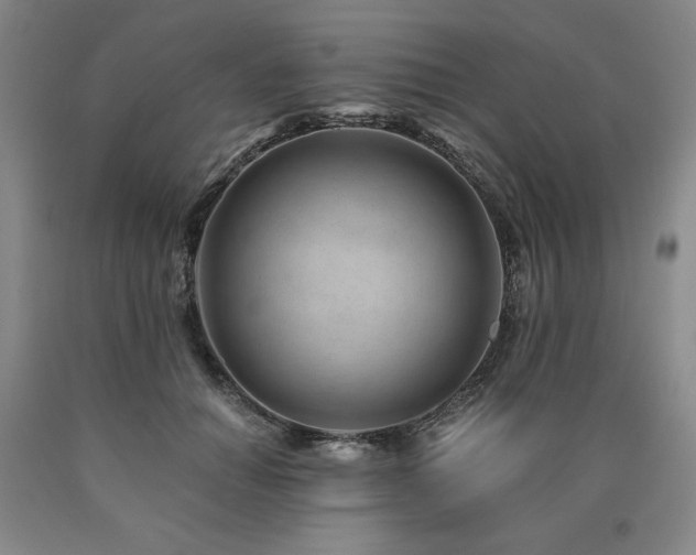 X0000090920654200707301534