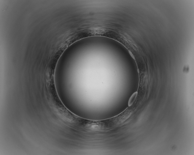 X0000090920655200707301534