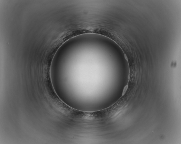 X0000090920656200707301534