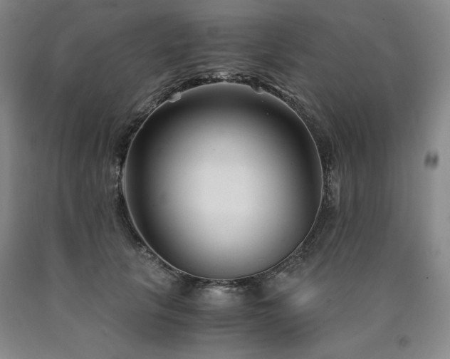 X0000090920657200707301534