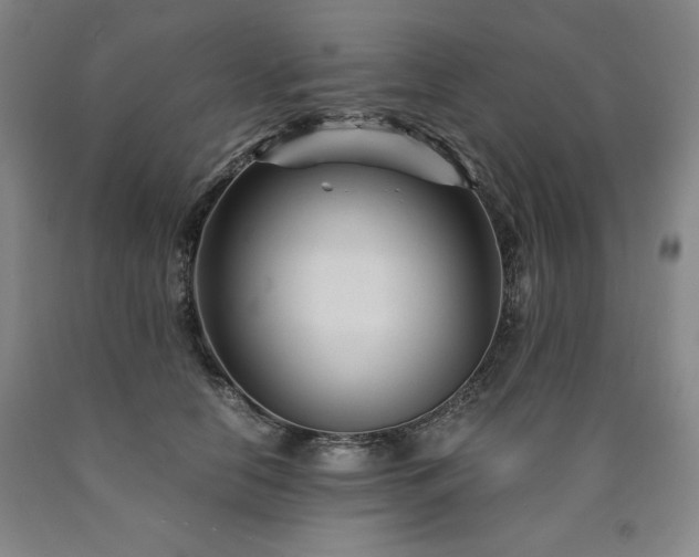 X0000090920658200707301534