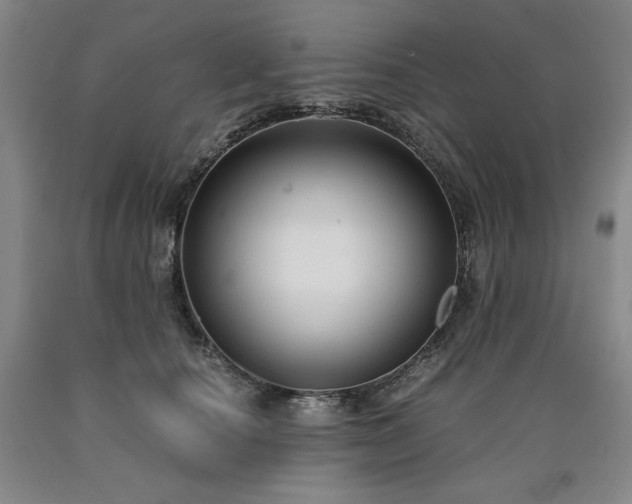 X0000090920660200707301534