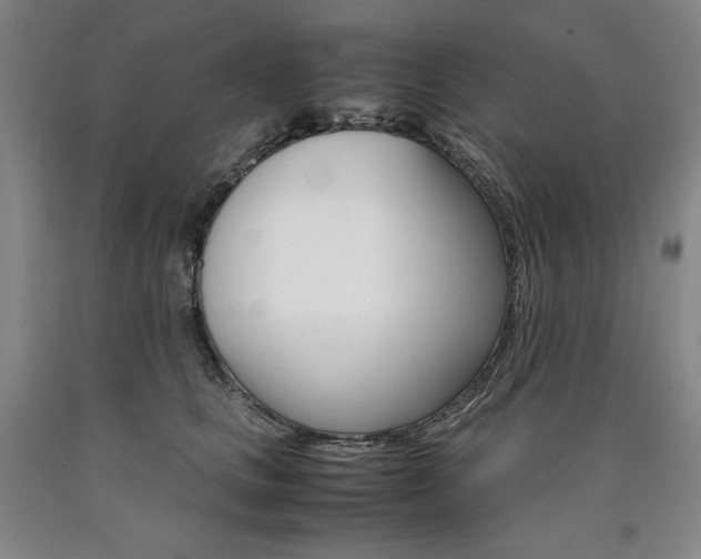 X0000090920661200707301534