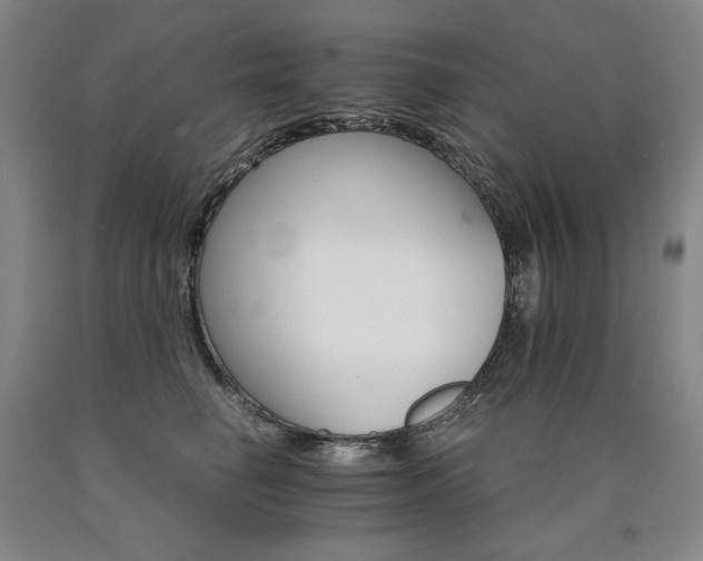 X0000090920662200707301534