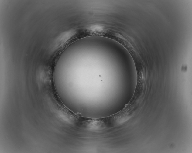 X0000090920663200707301534