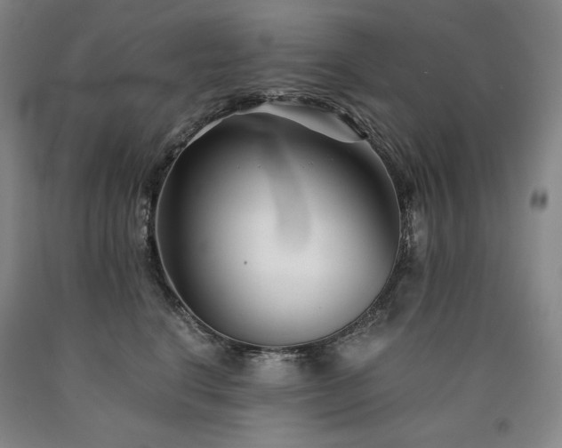 X0000090920664200707301534