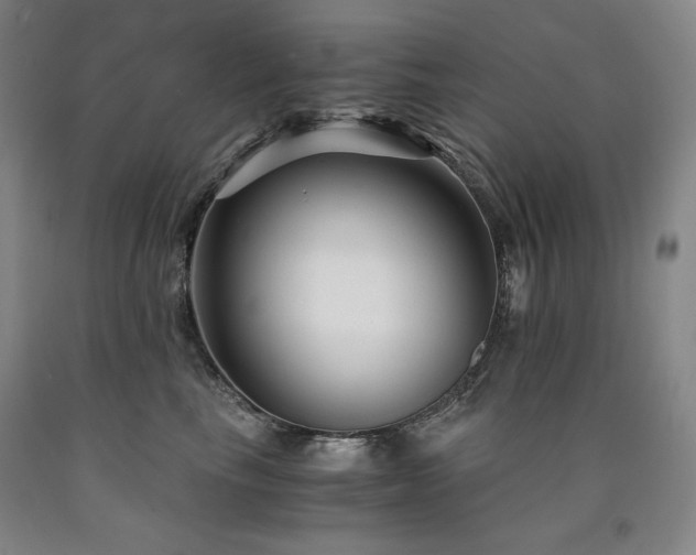 X0000090920665200707301534