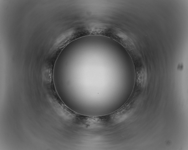 X0000090920666200707301534
