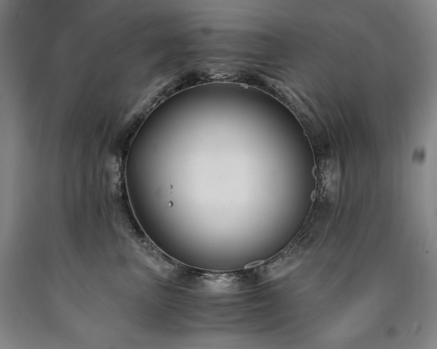 X0000090920667200707301534