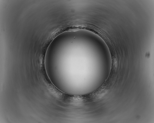X0000090920668200707301534