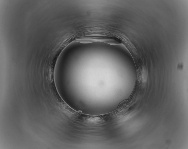 X0000090920669200707301534