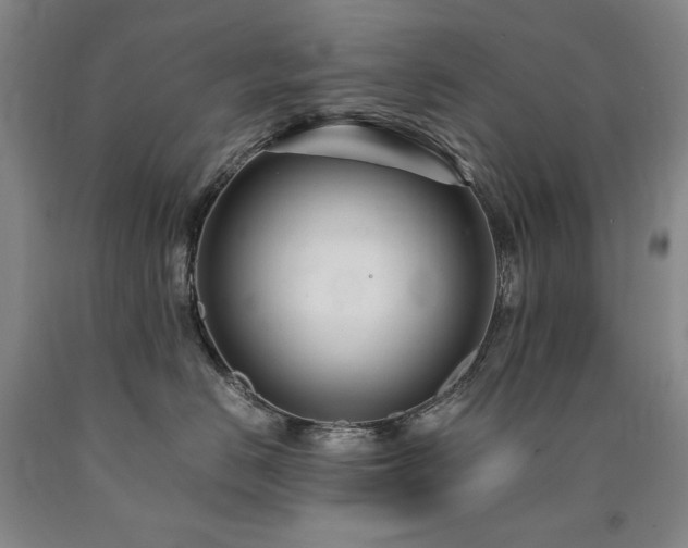 X0000090920670200707301534