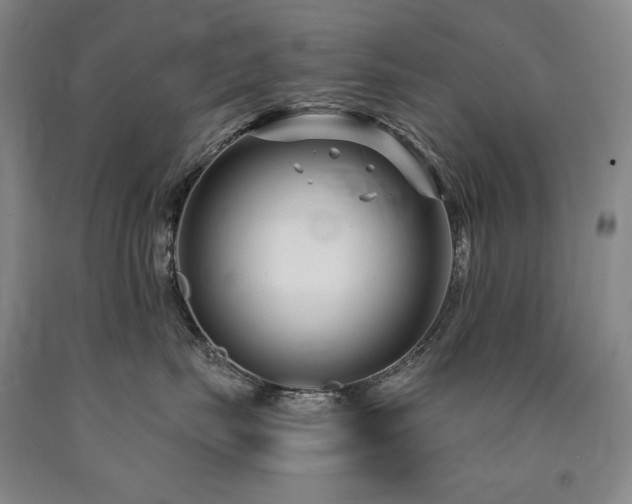 X0000090920671200707301534
