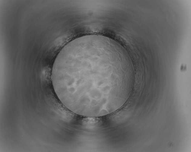 X0000090920672200707301534