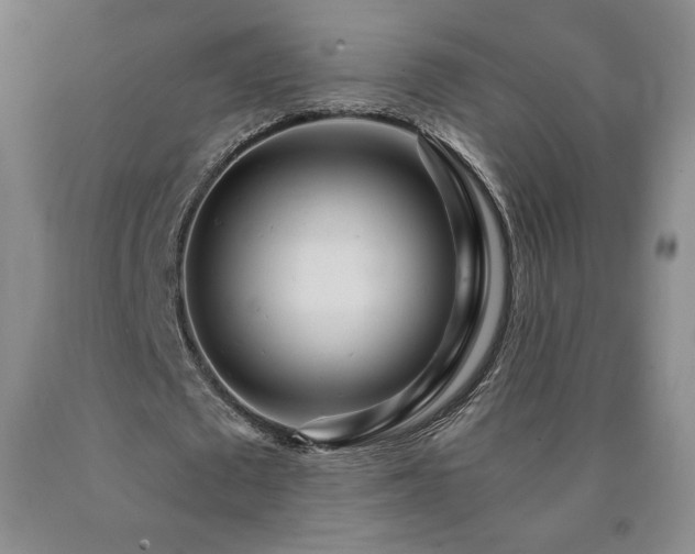 X0000090920673200707301533