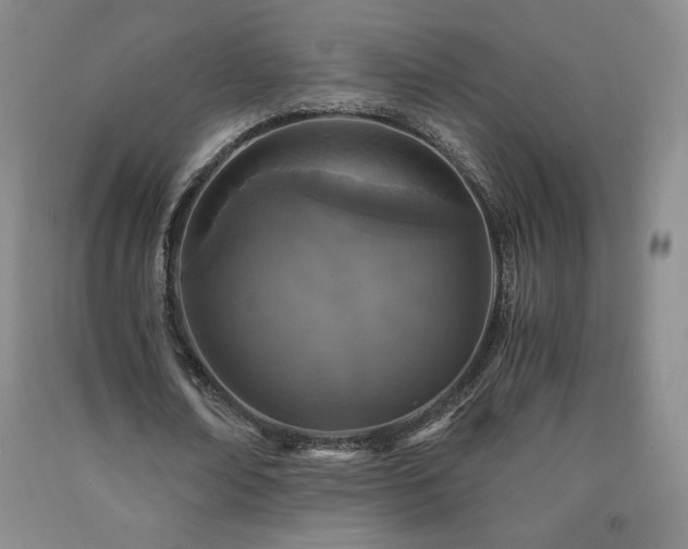 X0000090920674200707301533