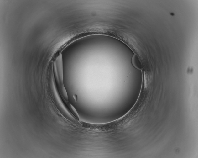 X0000090920675200707301533
