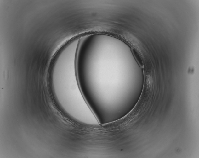 X0000090920676200707301533