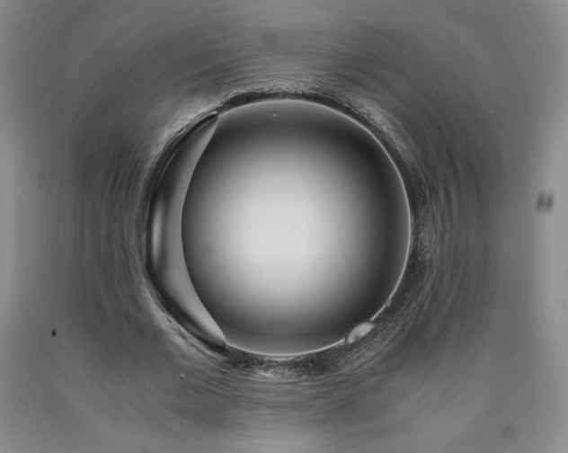 X0000090920677200707301533