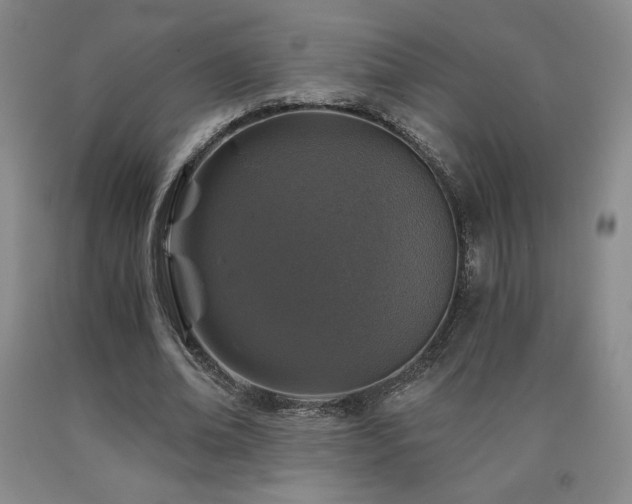 X0000090920678200707301533