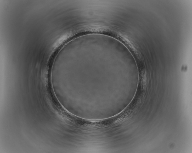 X0000090920679200707301533