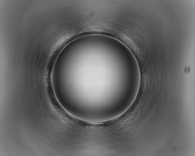 X0000090920680200707301533