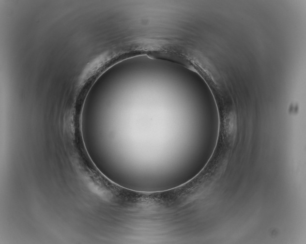 X0000090920682200707301533