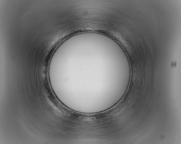 X0000090920683200707301533