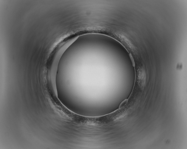 X0000090920684200707301533
