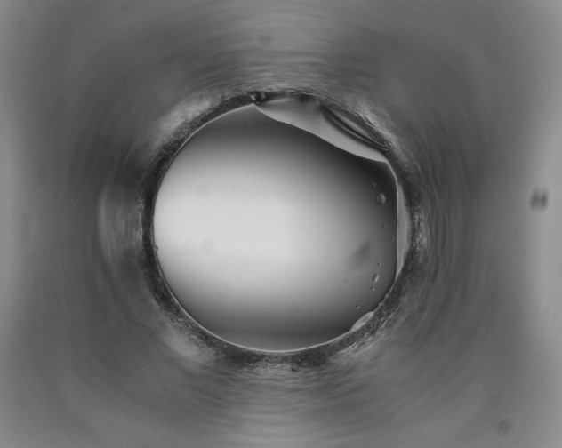 X0000090920685200707301533