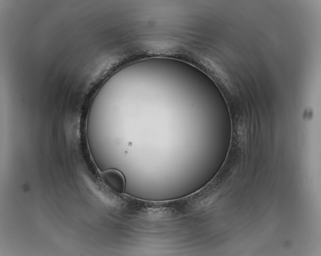 X0000090920686200707301533