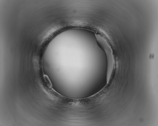 X0000090920688200707301533