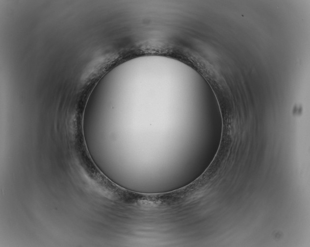 X0000090920690200707301533