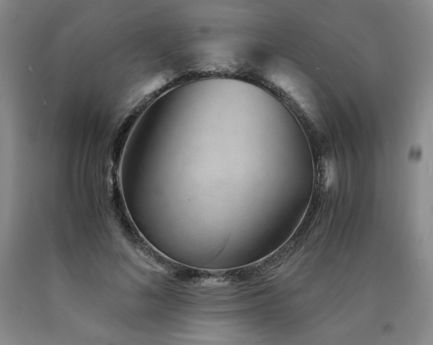X0000090920692200707301533