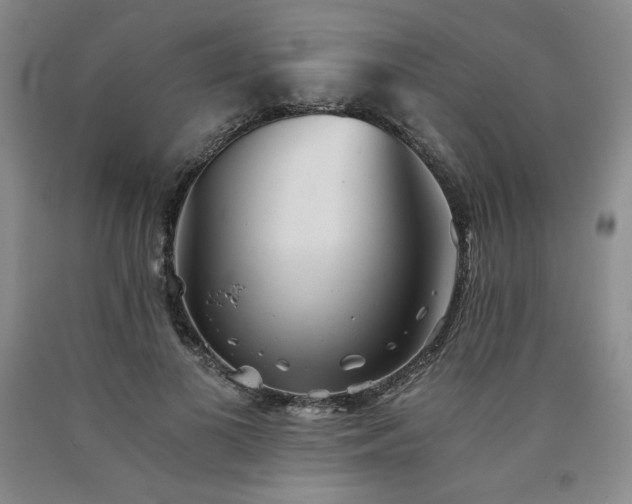 X0000090920693200707301533