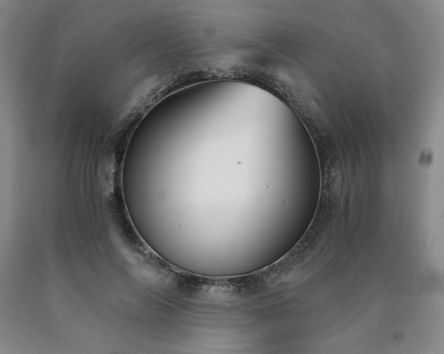 X0000090920694200707301533