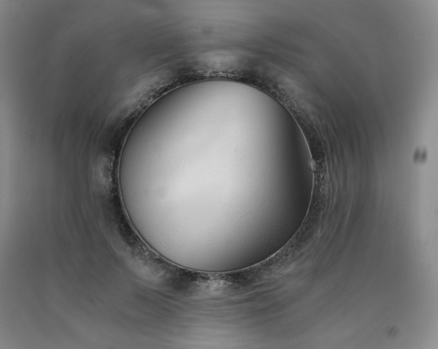 X0000090920695200707301533