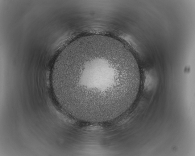 X0000090920696200707301533