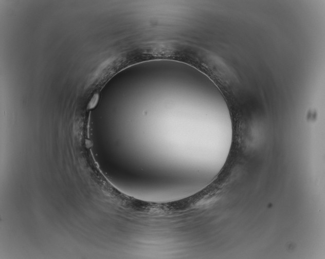 X0000090920697200707301533