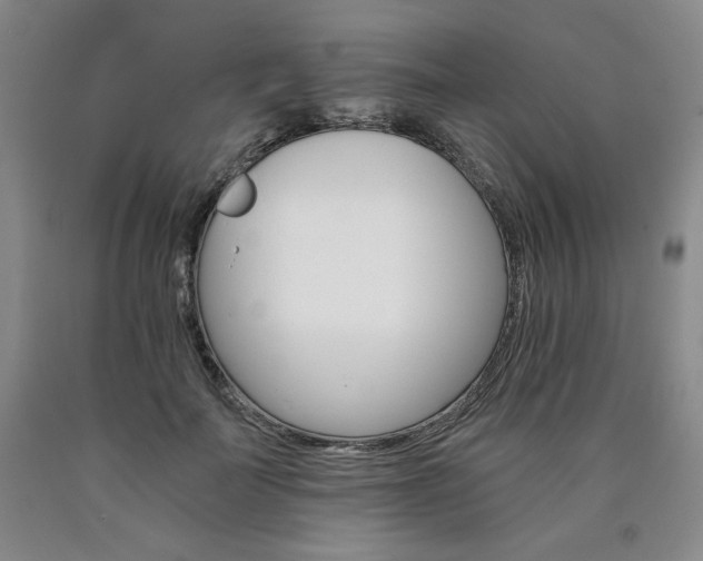 X0000090920699200707301533