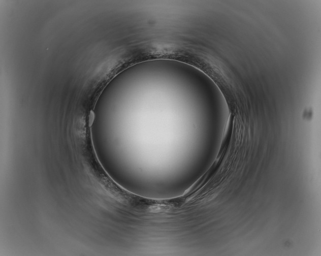 X0000090920700200707301533