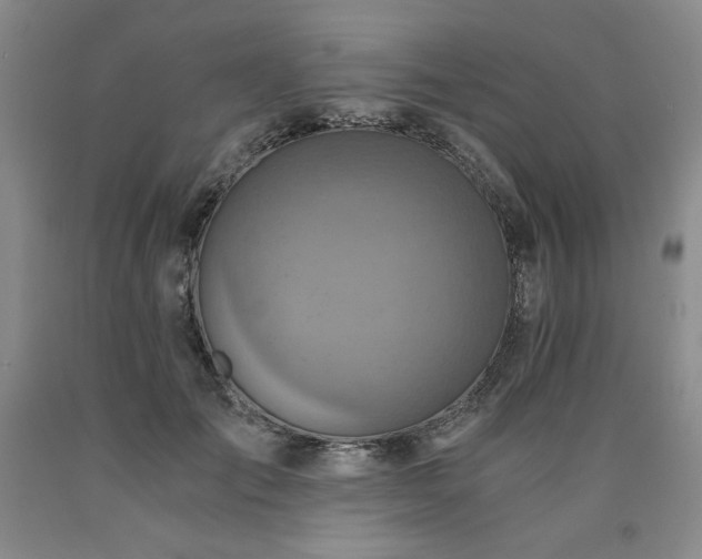 X0000090920701200707301533
