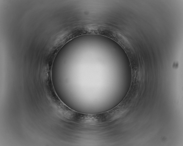 X0000090920702200707301533